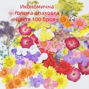 Сушени цветя за занаяти – жилкови сушени цветя, боядисани за сашети