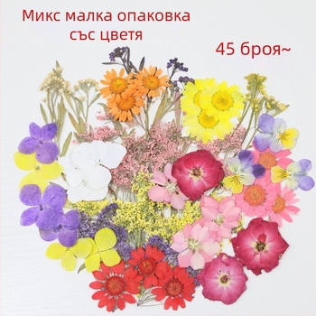 Сушени цветя за занаяти – жилкови сушени цветя, боядисани за сашети