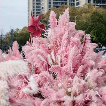 Букет сушени цветя Meibo — декоративна аранжировка; материал: сушени цветя; изработка: друго; вид: друго; марка: Meibo