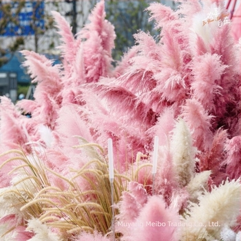 Букет сушени цветя Meibo — декоративна аранжировка; материал: сушени цветя; изработка: друго; вид: друго; марка: Meibo