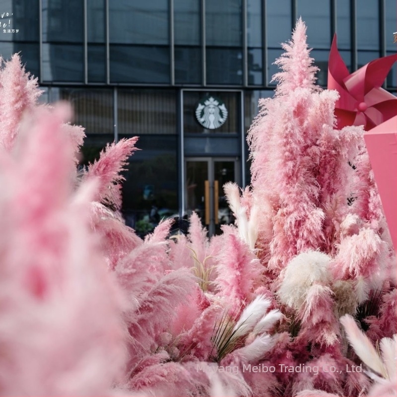 Букет сушени цветя Meibo — декоративна аранжировка; материал: сушени цветя; изработка: друго; вид: друго; марка: Meibo