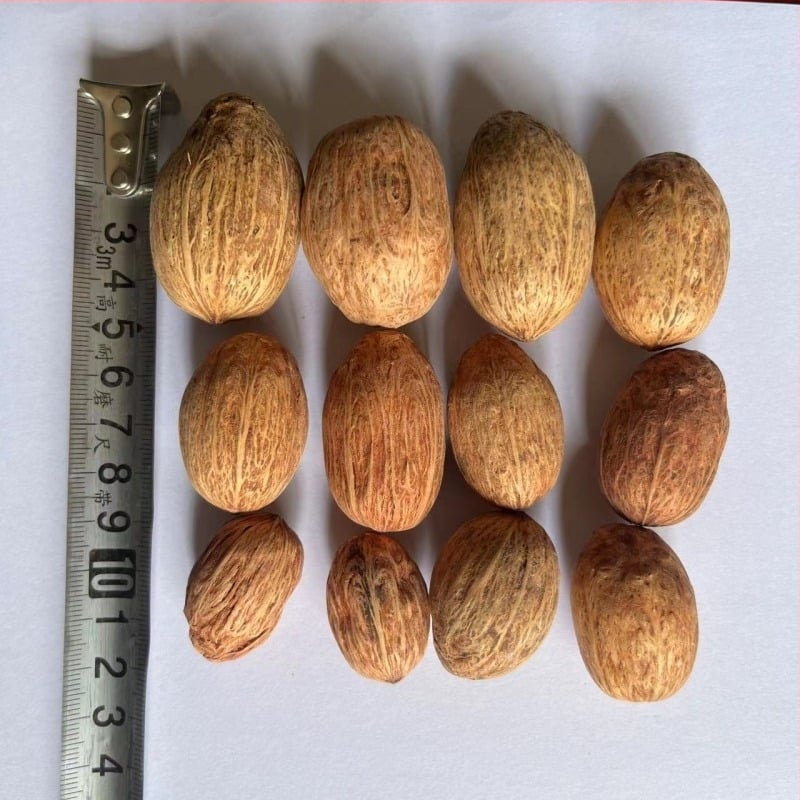 Материал за натурални плодови сашета за фотографски реквизит и DIY проекти; вид: Друг; опаковка: тъкана торба или картонена кутия; занаятчийство: естествено