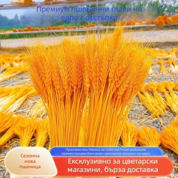 Клонове от сушени тревисти цветя, разновидност 20213, марка Други, боядисани, предназначени за букет