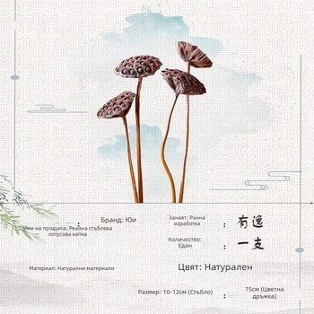 Сухи лотосови цветя за фотография с реален стебел и семена (Материал: изсушени цветя; Процес: 20776665335; Опаковка: картон)