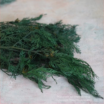 Борови клонки за букети — сушени цветя с жилки, боядисани, опаковани в торбички