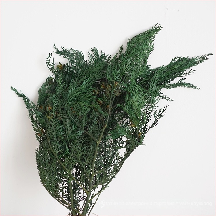 Борови клонки за букети — сушени цветя с жилки, боядисани, опаковани в торбички