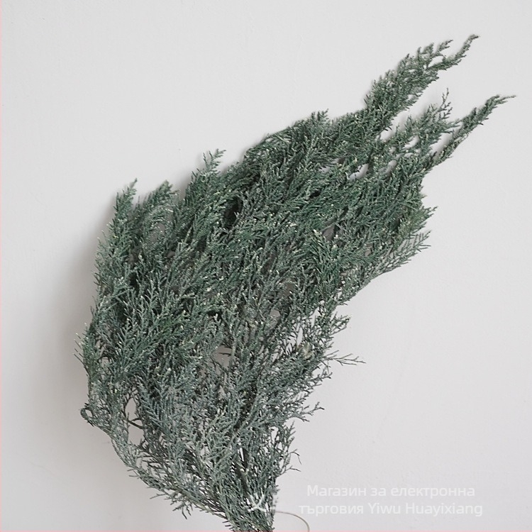 Борови клонки за букети — сушени цветя с жилки, боядисани, опаковани в торбички