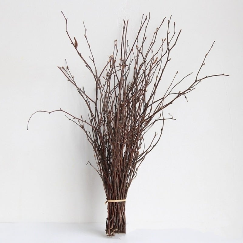 Естествени сухи клонки за вътрешна декорация и фотографски реквизит – Dreamer