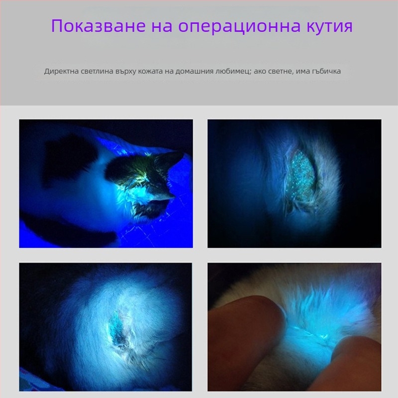 Лампа за флуоресцентно откриване на котешка микоза с UV светлина, пластмасово тяло, опаковка 240