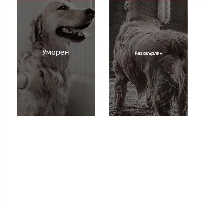 Всичко-в-ед сушач за домашни любимци с вграден гребен – бързо сушене за кучета и котки, 2000W+, ≤36V, универсално използване