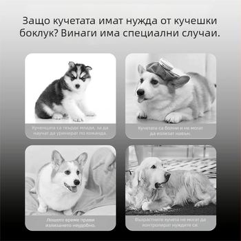 Guozhou mu Универсален котешки и кучешки пясък за тоалетна – ниска прашност, контрол на миризмата, формула за слепване