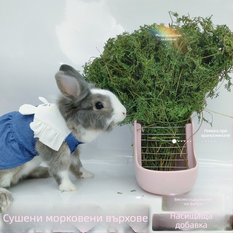 Сушени морковени върхчета – моларни закуски за зайци, шиншили и морски прасенца, със стъбла и листа (Материал: Друго; Произход: Виж детайли; Внос: Не; Бранд: Друго)