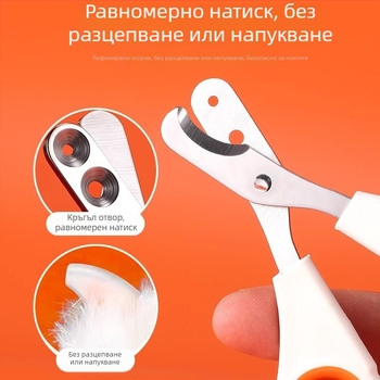 Комплект за подстригване на котки: ножици за нокти, котешки ножици, инструмент за начинаещи в поддръжката, гребен за котенца