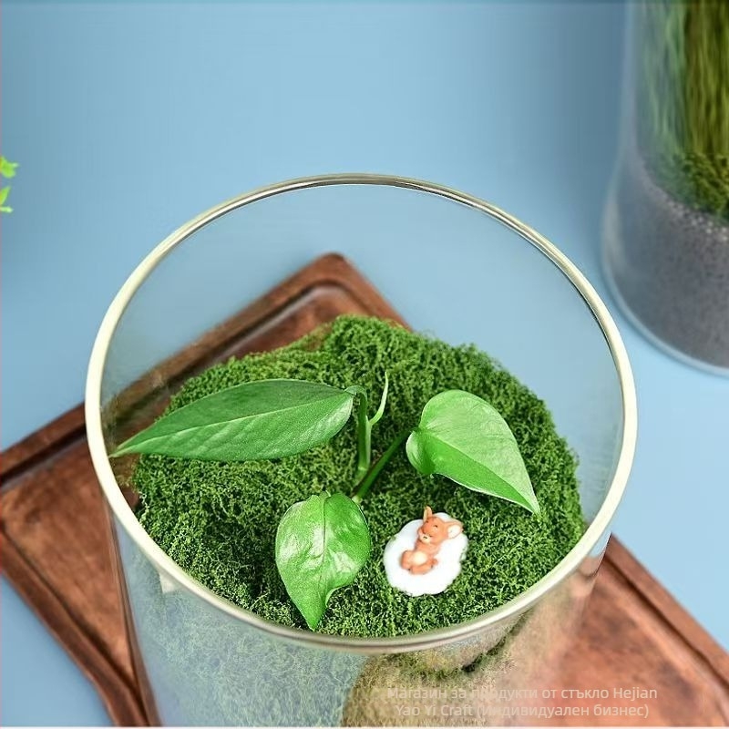 Стъклена бутилка за микроландшафт с високо боросиликатно стъкло, хидропоника и водни растения, код D-01