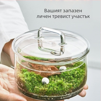Террариум с жив мъх — микро ландшафт в стъкло от високо боросиликатно стъкло, DIY интериорен декор