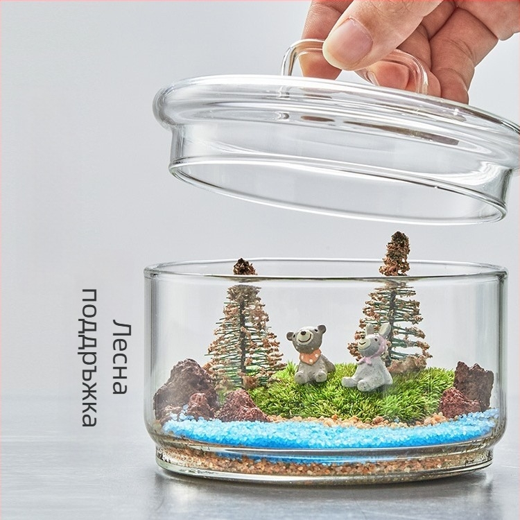 Террариум с жив мъх — микро ландшафт в стъкло от високо боросиликатно стъкло, DIY интериорен декор