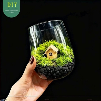 Мъхово террариум със сукуленти – микро ландшафтна еко бутилка, прозрачно стъкло, за поставяне, картонена опаковка, готов за подарък