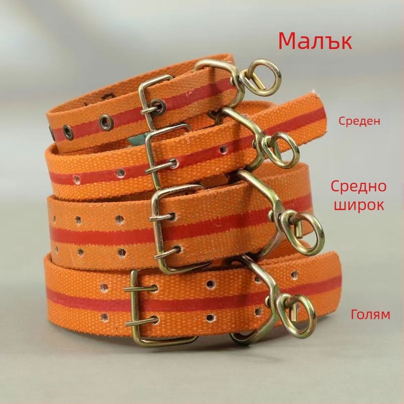 Кучешки нашийник и каиш за малки, средни и големи кучета, пластмасов материал
