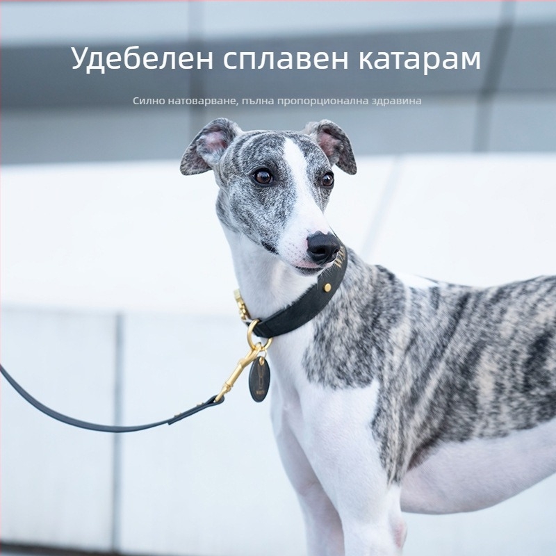 Wakytu PU каишка за кучета с P-Chain за разходка — антиразкъсваща лента