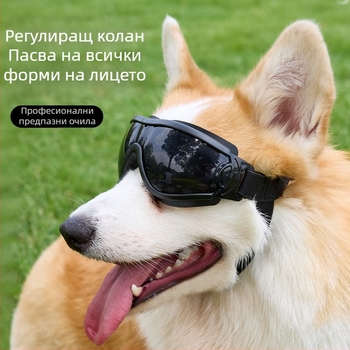 Очила за кучета с UV устойчивост и регулируемо прилягане; casual стил; материали: PC, TPU и нейлонова лента