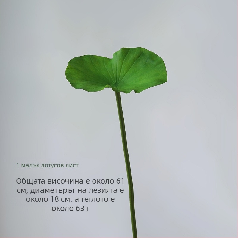 Изкуствен лотос от коприна за хол – ръчно стилизирано изпълнение, модел 980826380; предназначено за сватби, открити пространства, фотопродукти и домашно декориране