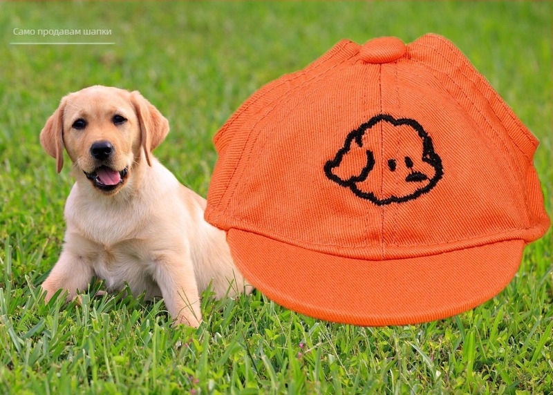 Шапка за кучета – бейзболка с бродерия; Материал: пластмаса; Тъкан: Twill; Стил: Япония и Южна Корея; Подходяща за четири сезона