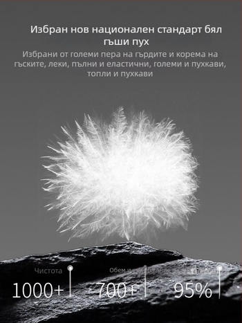 Пухено мъжко яке с висока стойка яка, усилено, едноцветен модел, пълнено с патеши пух, 210–268 г