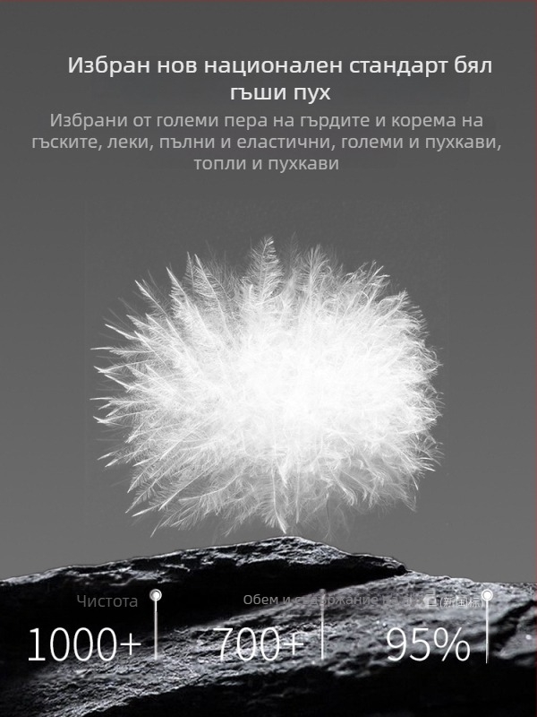 Пухено мъжко яке с висока стойка яка, усилено, едноцветен модел, пълнено с патеши пух, 210–268 г