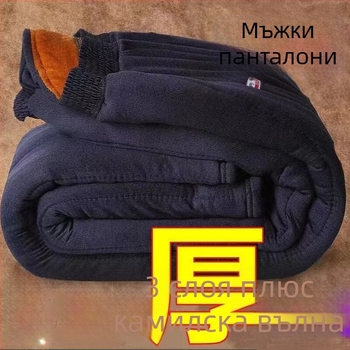 Зимни мъжки панталони с тесен силует, средна талия, пълнител полиестерни влакна, материя смес от химически влакна, подплата винилон