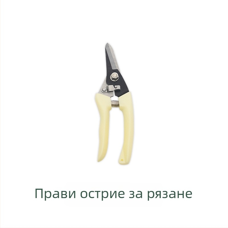 Комплект градински инструменти от неръждаема стомана, 5 части | PP + неръждаема стомана + Oxford плат | за градина и плаж