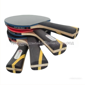 Тенис ракета за маса с дълга дръжка, Irich, дъска от топола, гума с положително лепило, директен удар, персонализиране