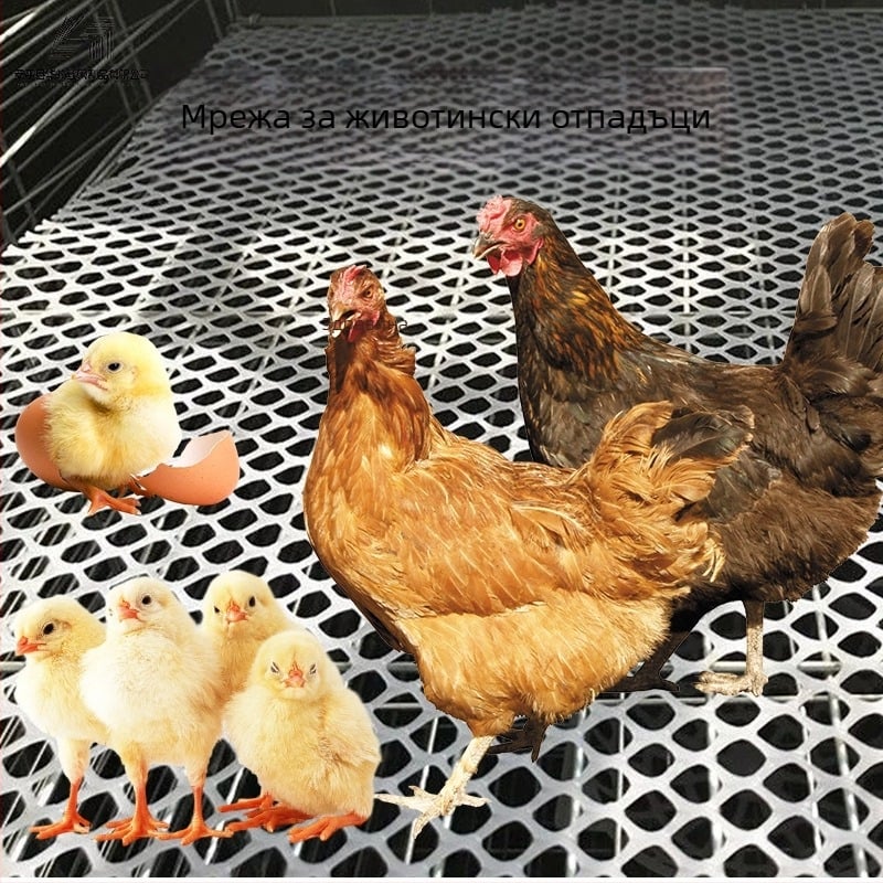 Удебелена мрежеста подложка за птици за отглеждане, антихлъзгаща, против протичане, пластмасова мрежа