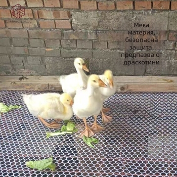 Пластмасова мрежеста плоча за домашни птици — ограда за изолация при отглеждане на кокошки, патици, гъски и гълъби