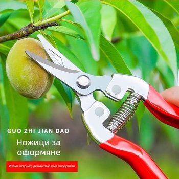 Golden Dragon ножици за подрязване от неръждаема стомана за плодове и цветя, диаметър на подрязване 60 мм, тегло 0,1 кг, дръжка от стомана