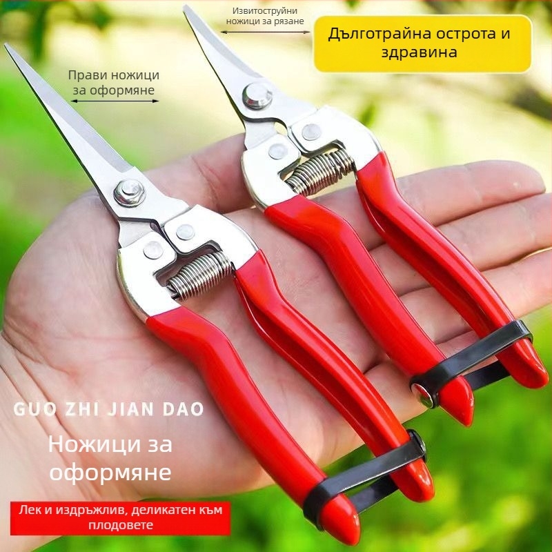 Golden Dragon ножици за подрязване от неръждаема стомана за плодове и цветя, диаметър на подрязване 60 мм, тегло 0,1 кг, дръжка от стомана