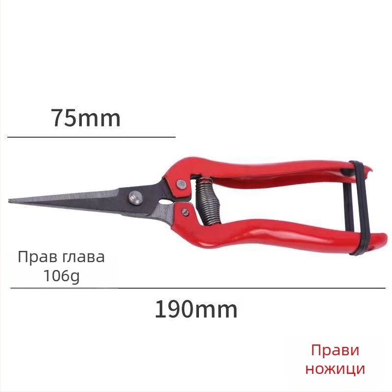 Golden Dragon ножици за подрязване от неръждаема стомана за плодове и цветя, диаметър на подрязване 60 мм, тегло 0,1 кг, дръжка от стомана