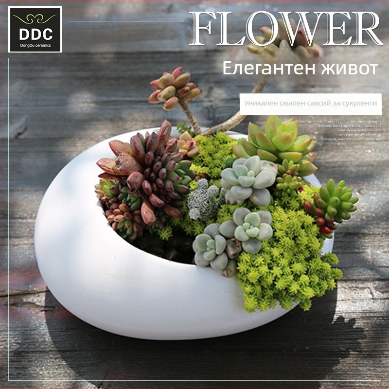 Овална керамична саксия за сукуленти, ръчна изработка с глазура, устойчива и издръжлива на корозия, подходяща за настолен и подов монтаж