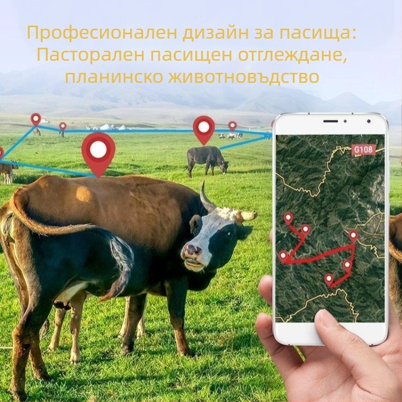 4G GPS локатор за добитък за крави, овце, коне и камили — точност на позициониране 5 м, живот на батерията 168 ч, множество аларми, водоустойчив