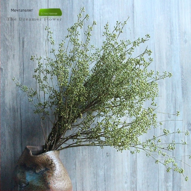 Сушени цветя от плодово дърво за домашен декор — марка The Dreamer Flower; Материал: сушени цветя; Процес: 22408001136; Тип: плод; Вид: Други