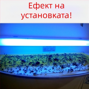 Стенно монтирана лепяща лампа за улов на комари за ресторанти и хотели, UV светлинна уловка, обхват 61 м²+, ABS корпус, гаранция 1 година