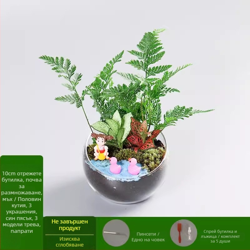 DIY комплект за мини ландшафт с мъх и сукуленти в топка от високо боросиликатно стъкло, марка Xuanyi, картонена опаковка, за бюро