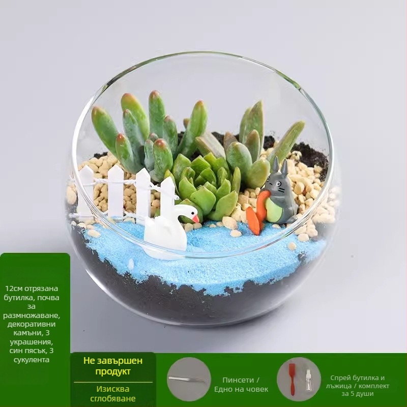 DIY комплект за мини ландшафт с мъх и сукуленти в топка от високо боросиликатно стъкло, марка Xuanyi, картонена опаковка, за бюро