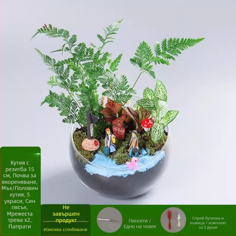 DIY комплект за мини ландшафт с мъх и сукуленти в топка от високо боросиликатно стъкло, марка Xuanyi, картонена опаковка, за бюро
