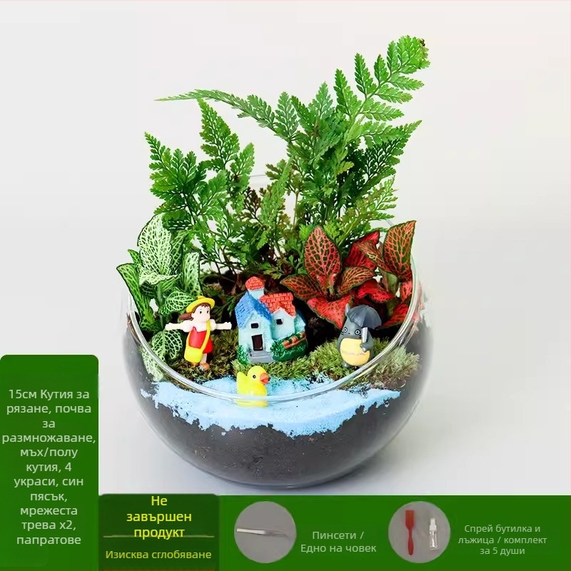 DIY комплект за мини ландшафт с мъх и сукуленти в топка от високо боросиликатно стъкло, марка Xuanyi, картонена опаковка, за бюро