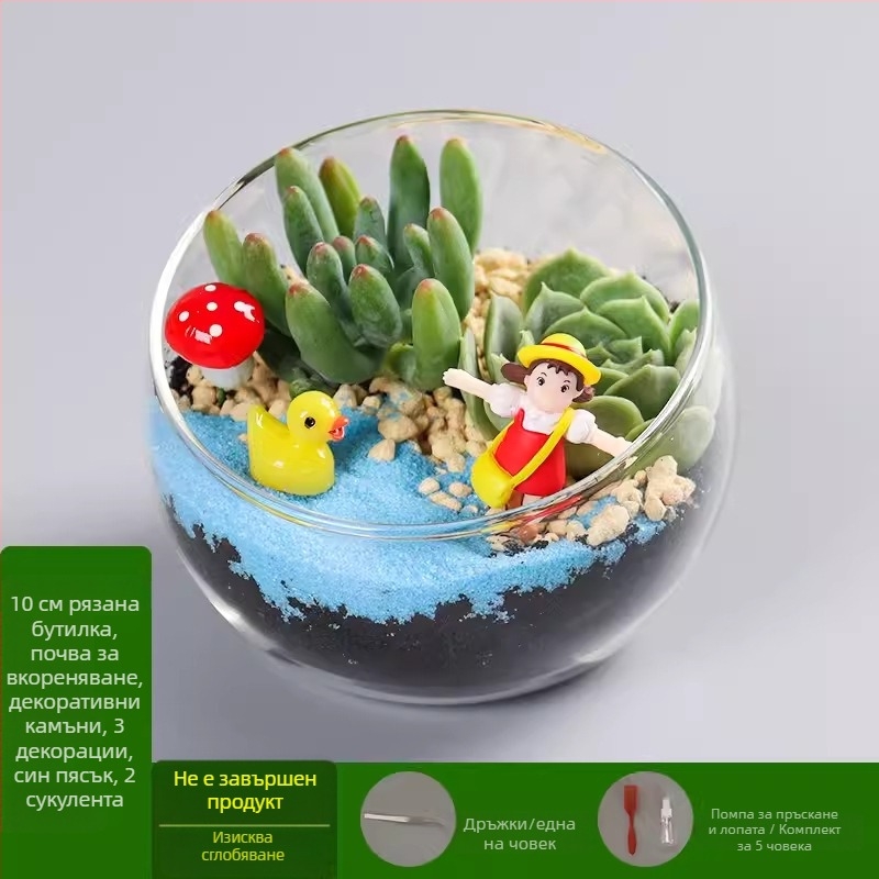 DIY комплект за мини ландшафт с мъх и сукуленти — стъклена топка от високо боросиликатно стъкло, марка Xuanyi, картонна опаковка, експозиционен монтаж, не е внесено