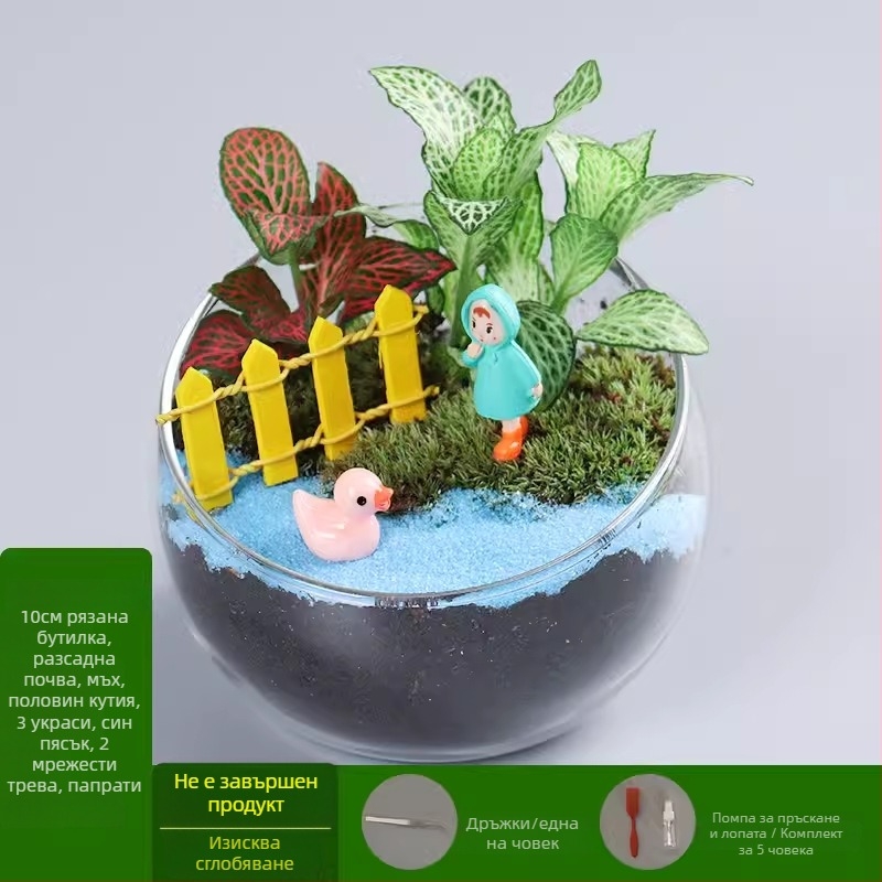 DIY комплект за мини ландшафт с мъх и сукуленти — стъклена топка от високо боросиликатно стъкло, марка Xuanyi, картонна опаковка, експозиционен монтаж, не е внесено