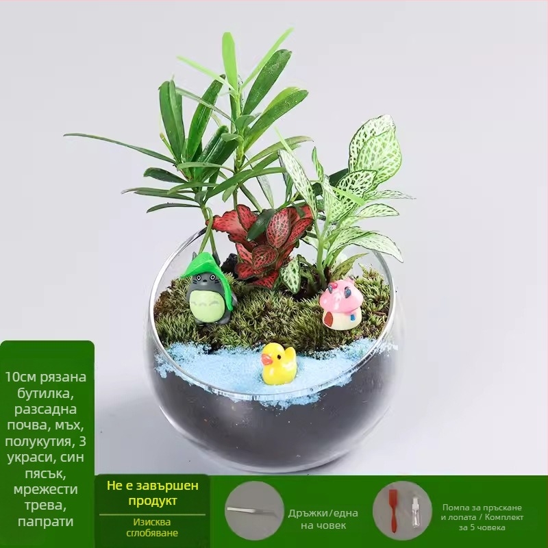 DIY комплект за мини ландшафт с мъх и сукуленти — стъклена топка от високо боросиликатно стъкло, марка Xuanyi, картонна опаковка, експозиционен монтаж, не е внесено