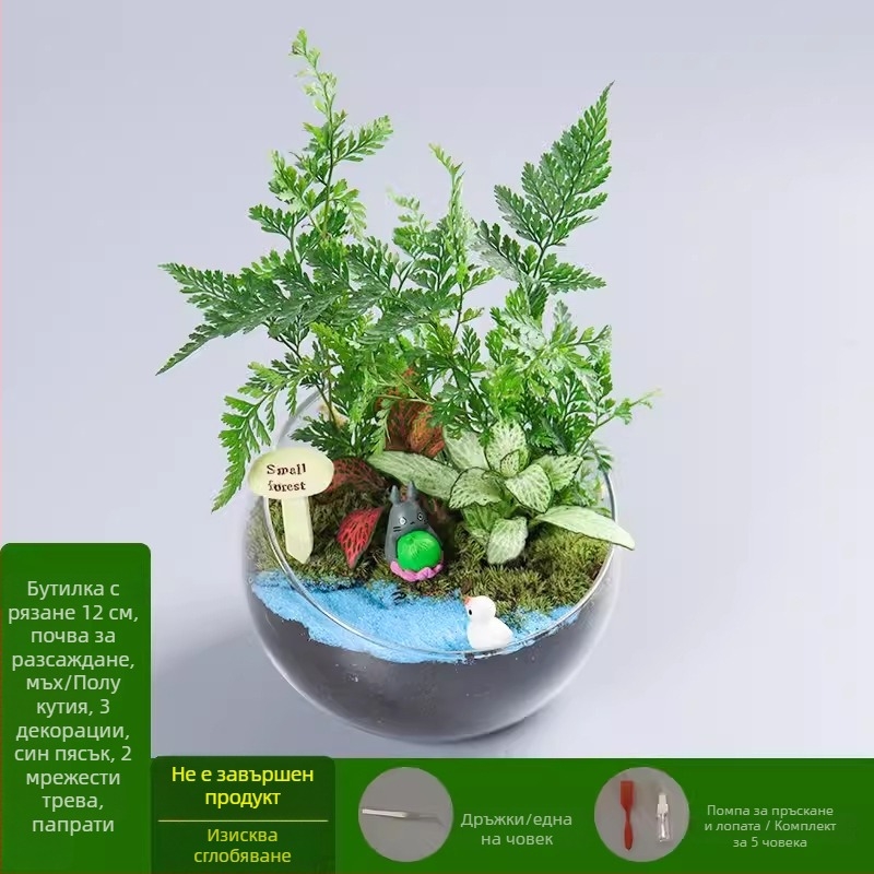 DIY комплект за мини ландшафт с мъх и сукуленти — стъклена топка от високо боросиликатно стъкло, марка Xuanyi, картонна опаковка, експозиционен монтаж, не е внесено