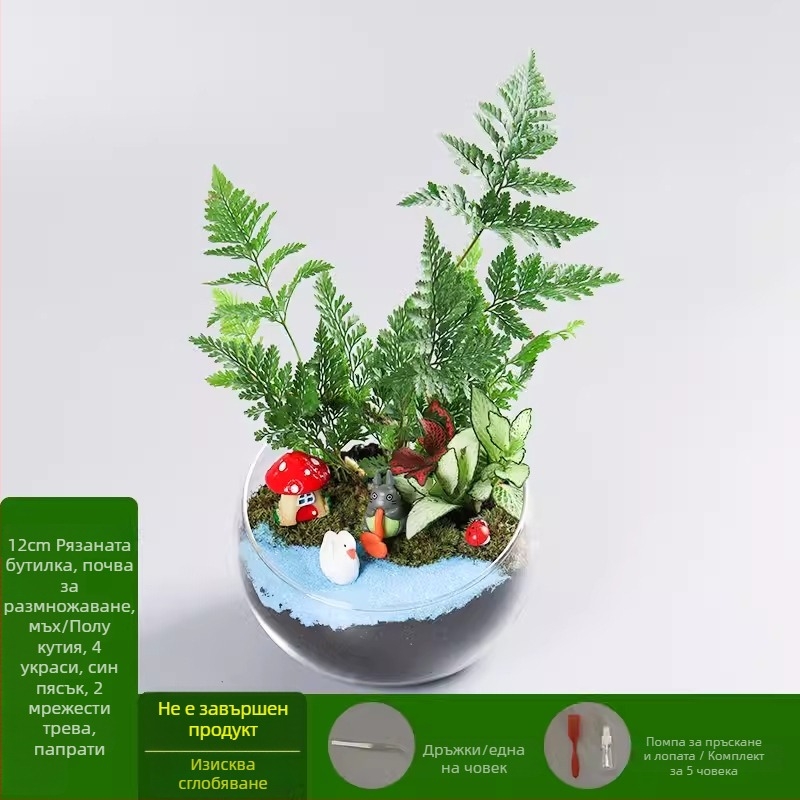 DIY комплект за мини ландшафт с мъх и сукуленти — стъклена топка от високо боросиликатно стъкло, марка Xuanyi, картонна опаковка, експозиционен монтаж, не е внесено