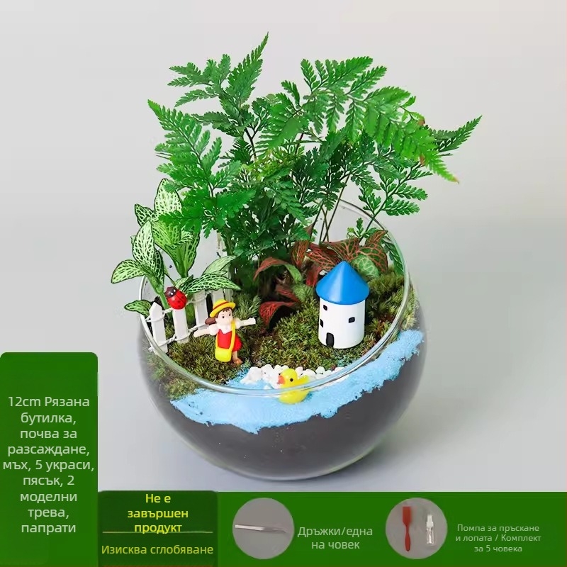 DIY комплект за мини ландшафт с мъх и сукуленти — стъклена топка от високо боросиликатно стъкло, марка Xuanyi, картонна опаковка, експозиционен монтаж, не е внесено